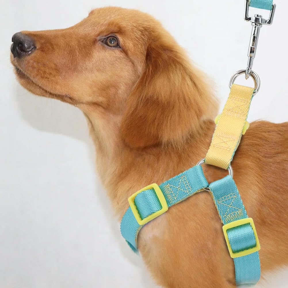 Dog Harness - No Pull, Easy Fit Adjustable Pet Harness - Comfortable, Lightweight Padded Harness for Walking or Training Small,